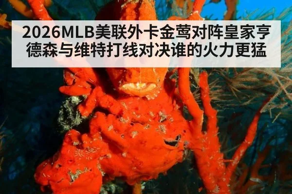 2026MLB美联外卡金莺对阵皇家亨德森与维特打线对决谁的火力更猛